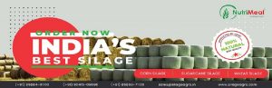 silage-cover - Copy.jpg