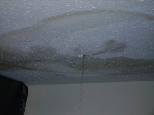 ceiling-leakage.jpg